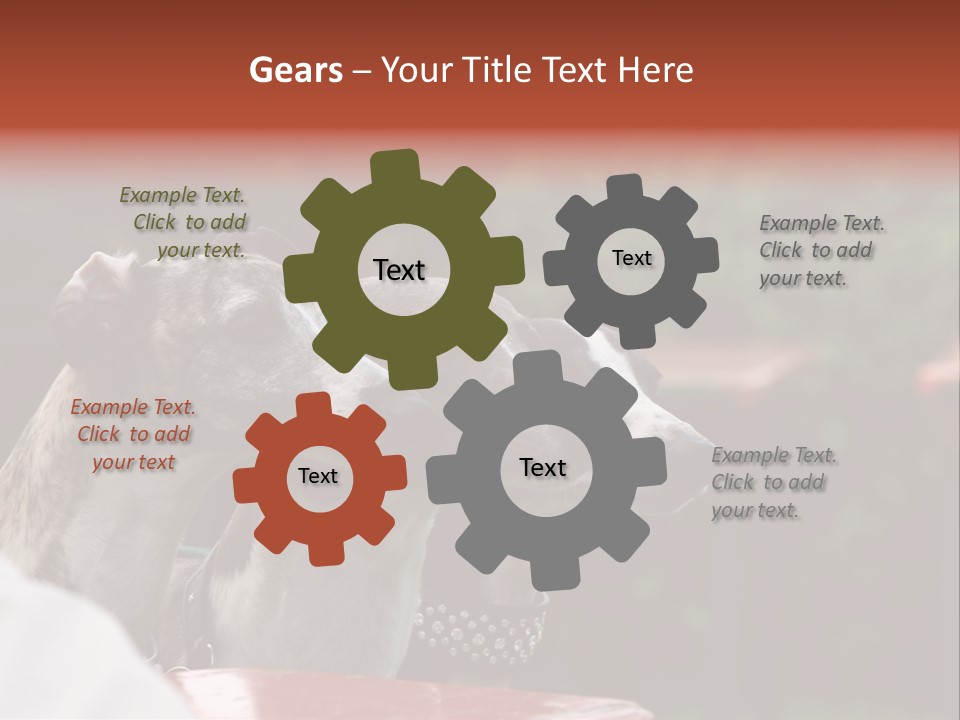 Three Whippets PowerPoint Template