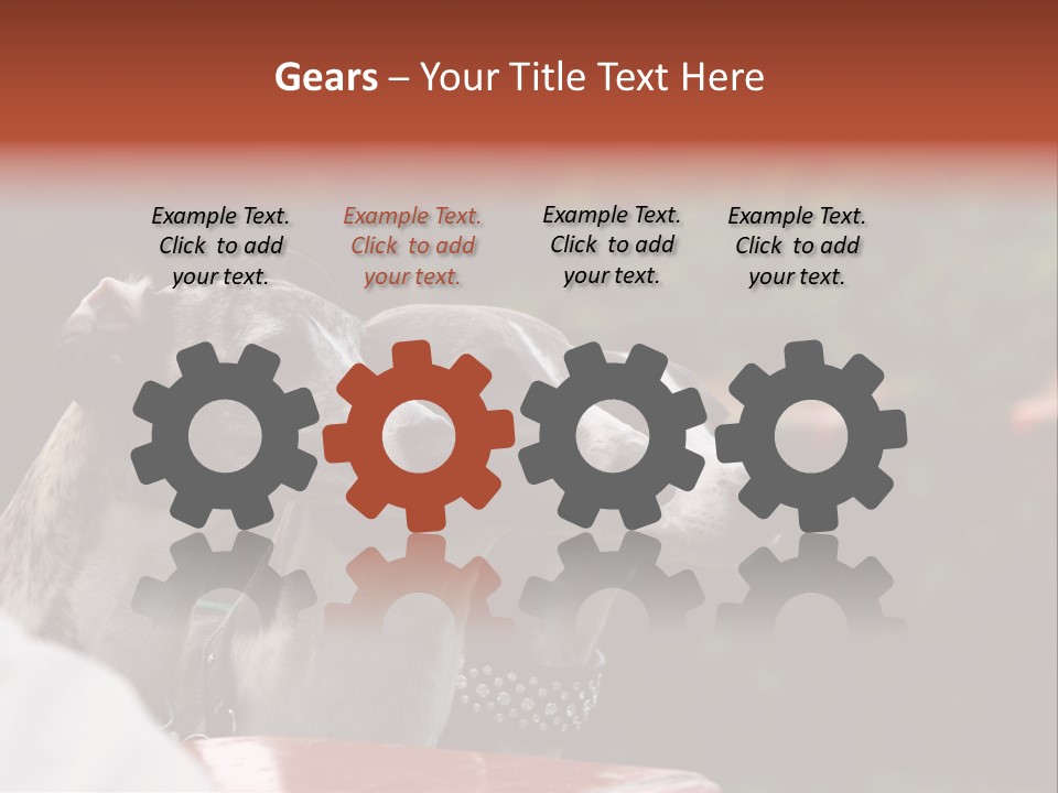 Three Whippets PowerPoint Template