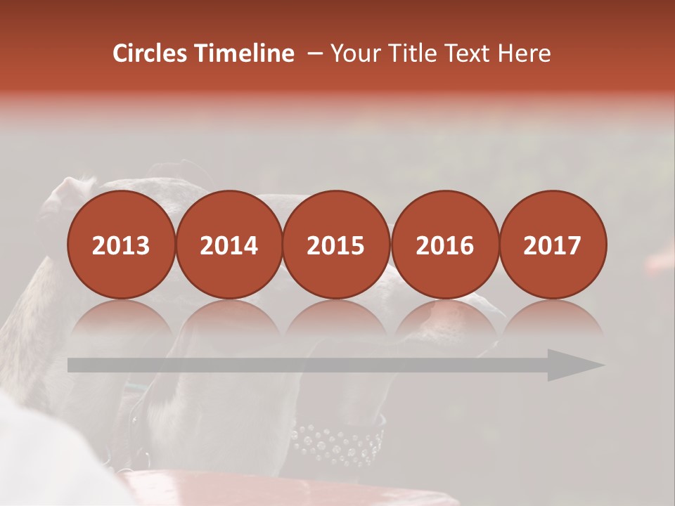 Three Whippets PowerPoint Template