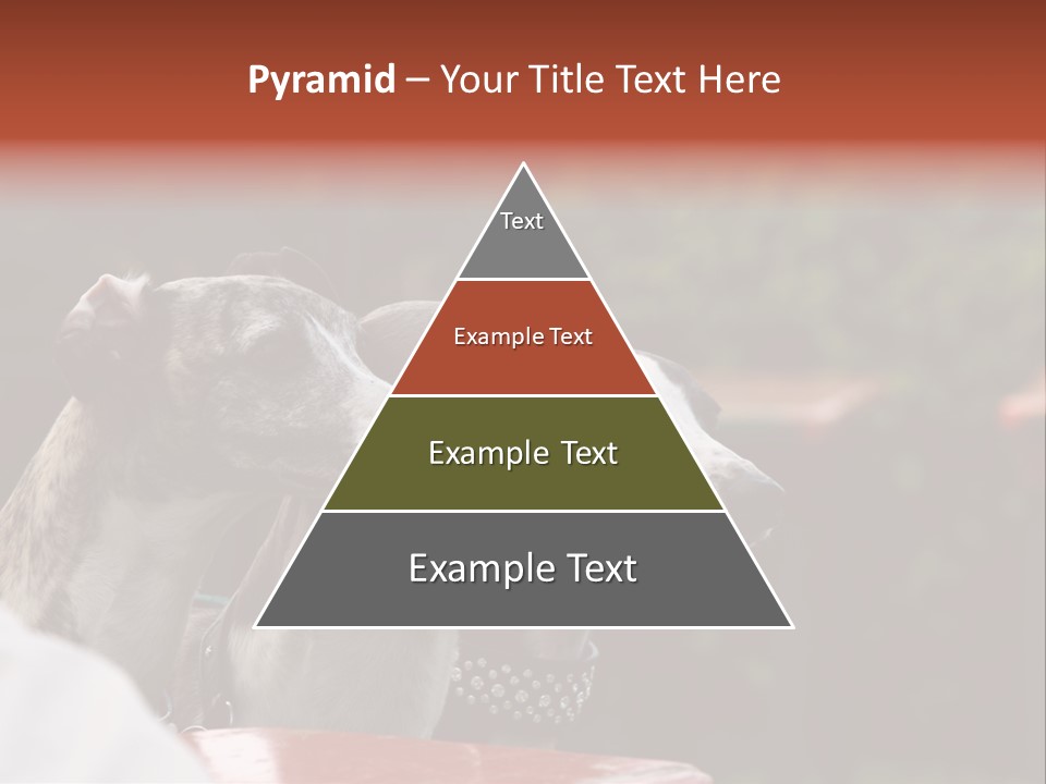 Three Whippets PowerPoint Template