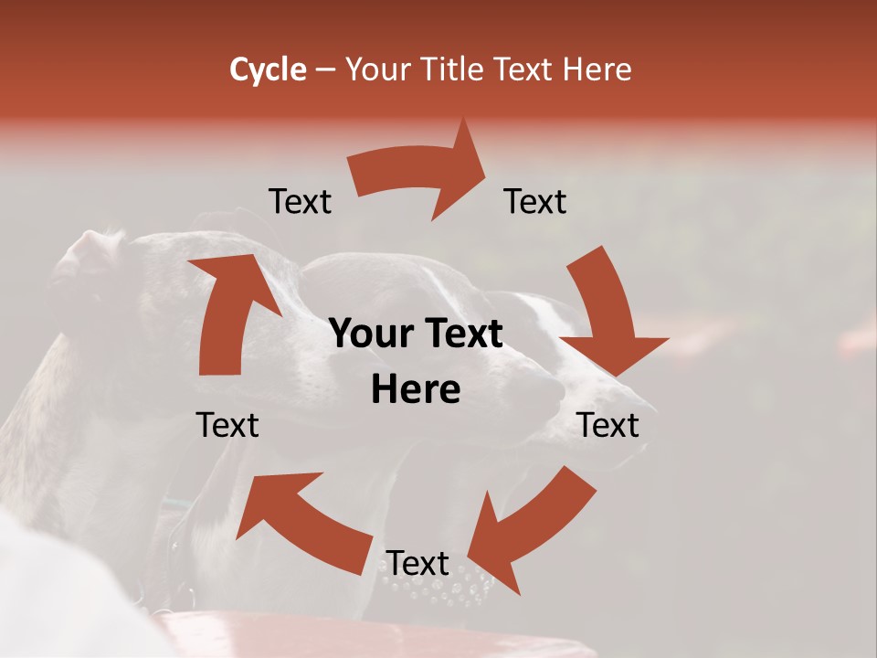 Three Whippets PowerPoint Template