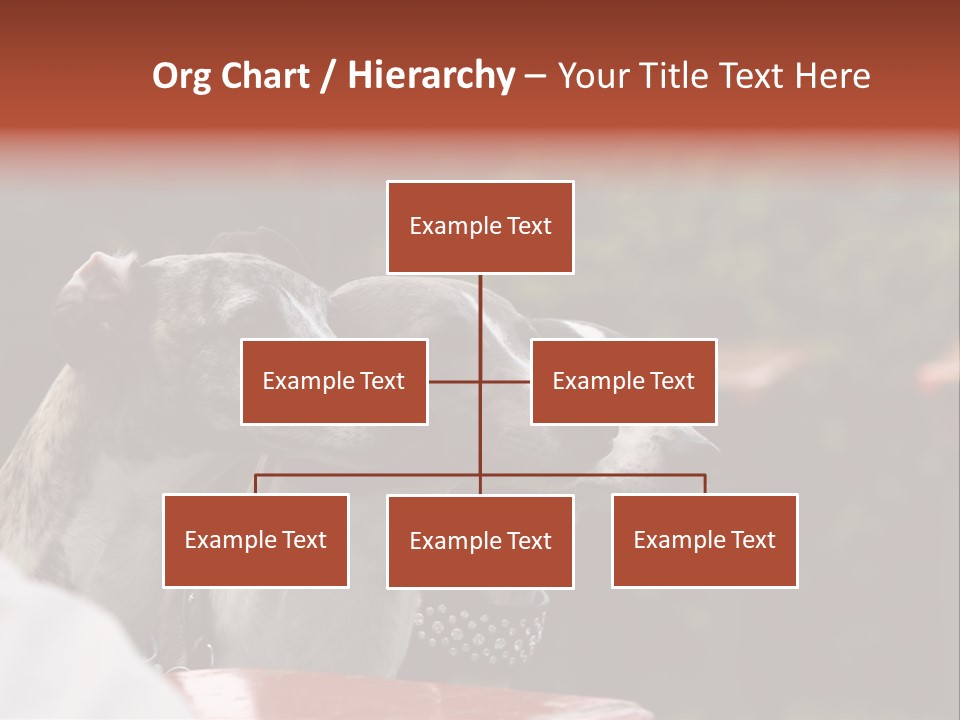 Three Whippets PowerPoint Template