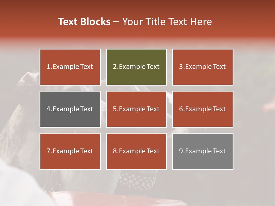 Three Whippets PowerPoint Template