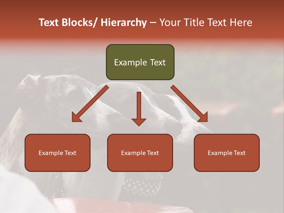 Three Whippets PowerPoint Template