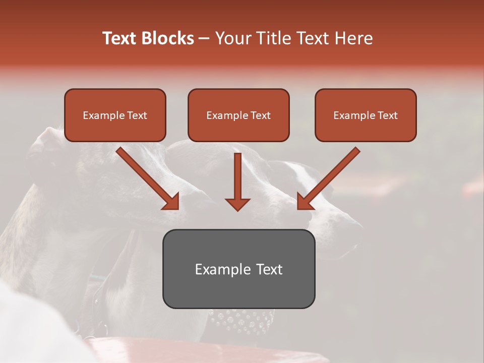 Three Whippets PowerPoint Template