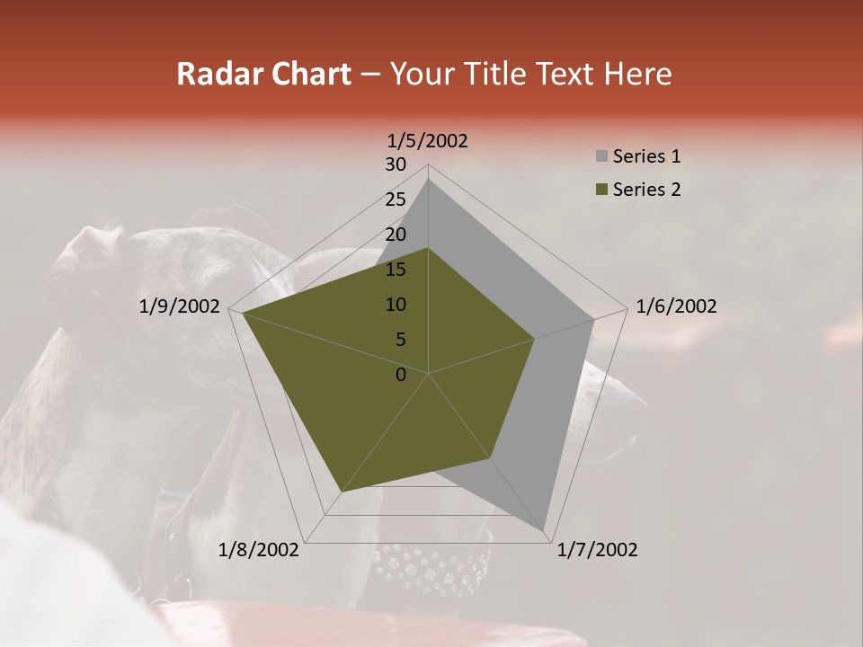 Three Whippets PowerPoint Template