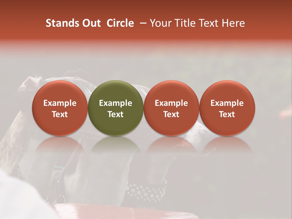 Three Whippets PowerPoint Template