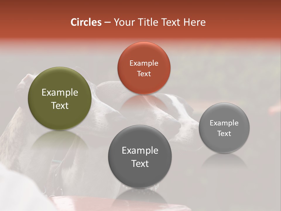 Three Whippets PowerPoint Template