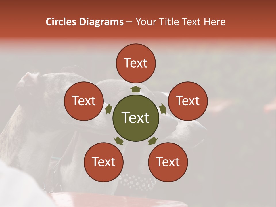 Three Whippets PowerPoint Template