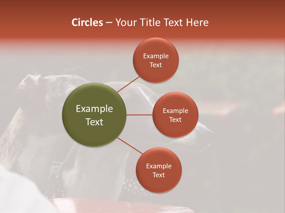 Three Whippets PowerPoint Template