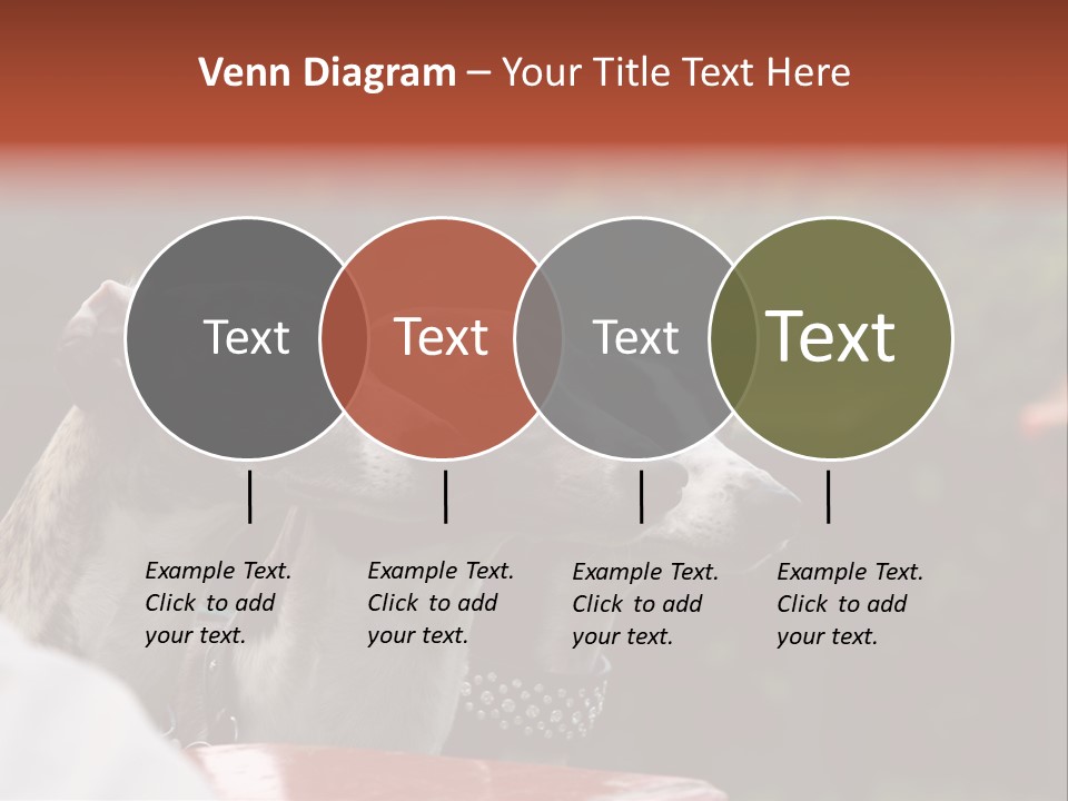 Three Whippets PowerPoint Template