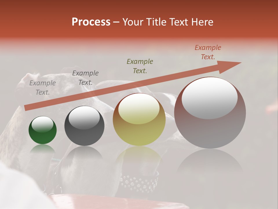 Three Whippets PowerPoint Template