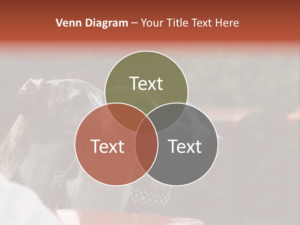 Three Whippets PowerPoint Template