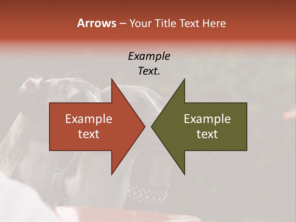 Three Whippets PowerPoint Template