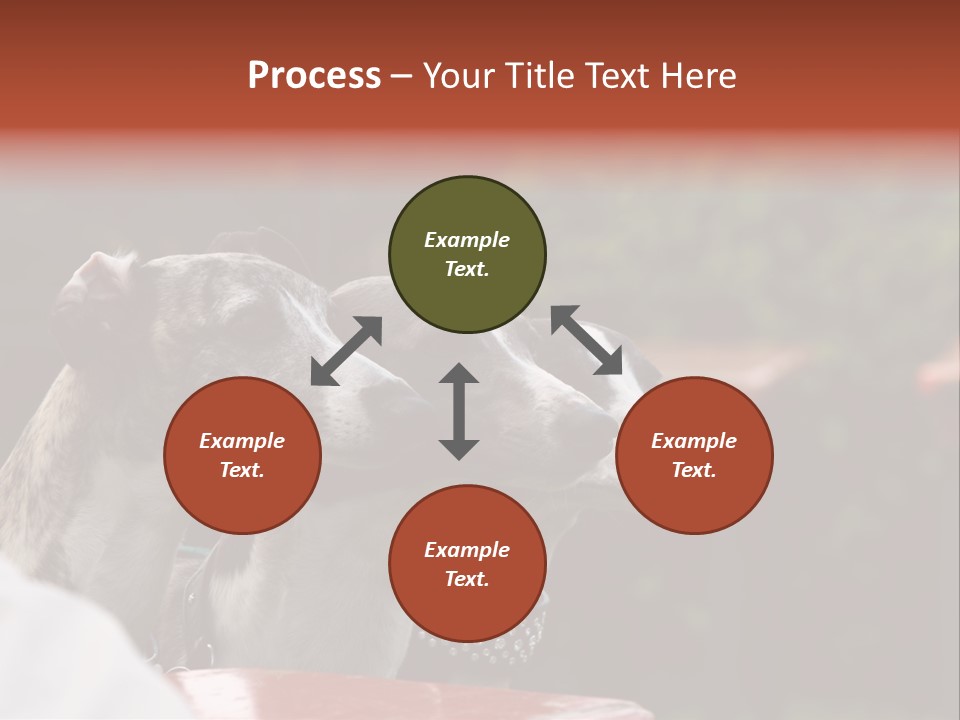 Three Whippets PowerPoint Template