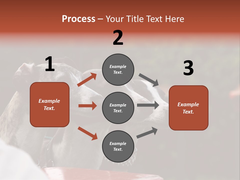 Three Whippets PowerPoint Template