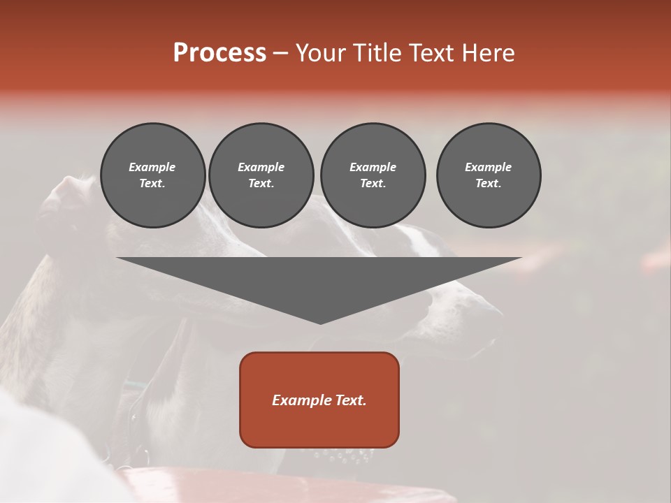 Three Whippets PowerPoint Template
