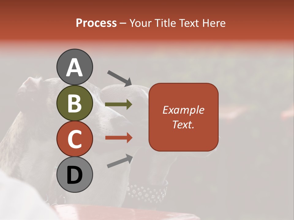 Three Whippets PowerPoint Template