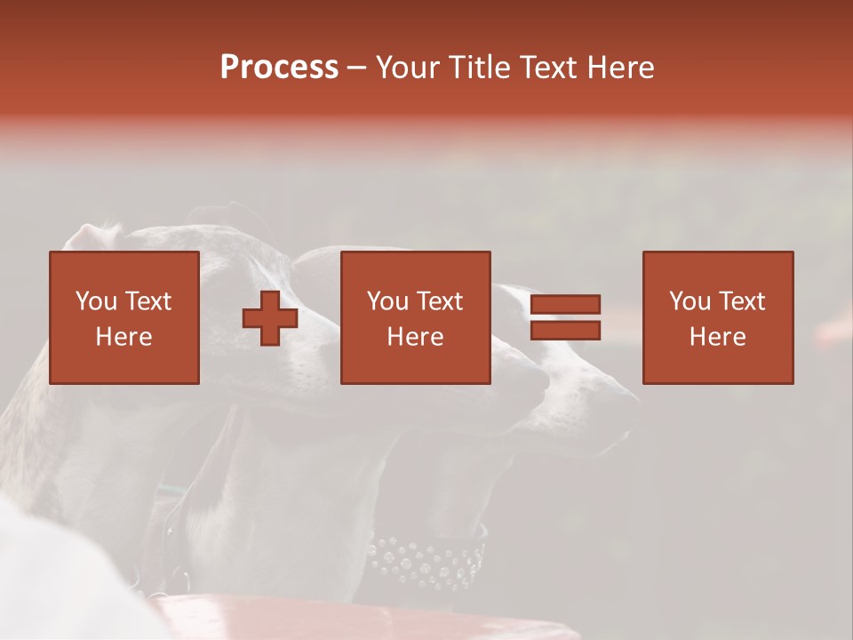 Three Whippets PowerPoint Template