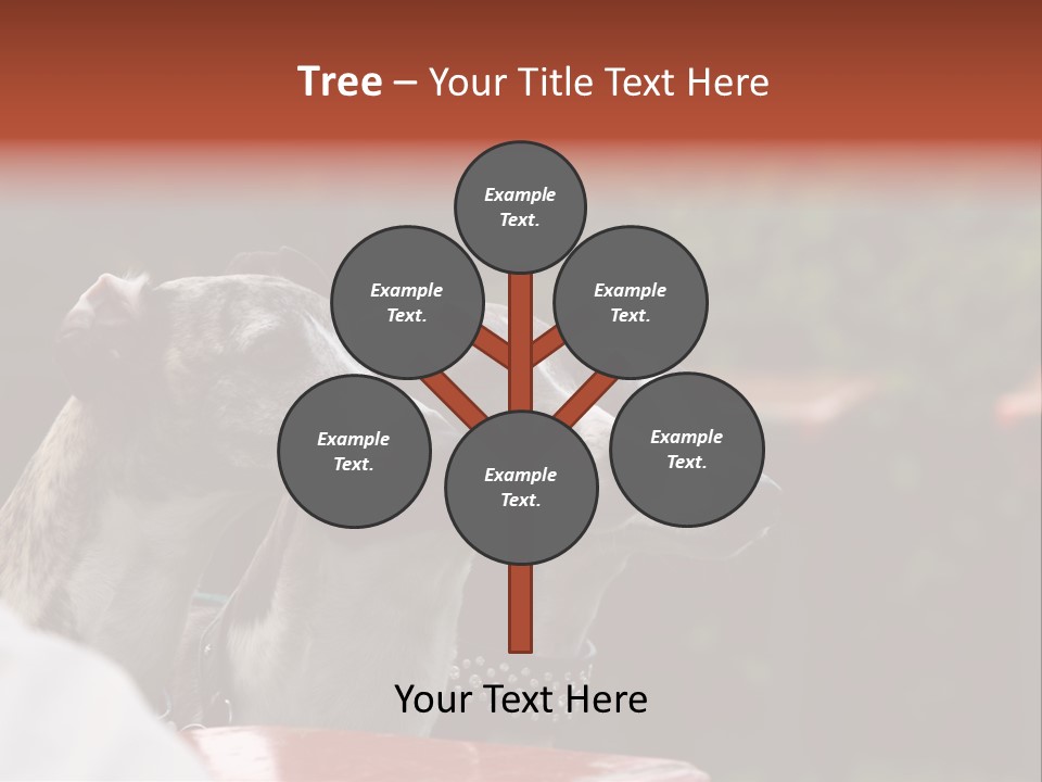 Three Whippets PowerPoint Template