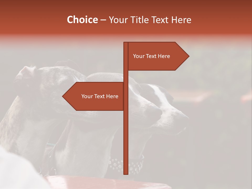 Three Whippets PowerPoint Template