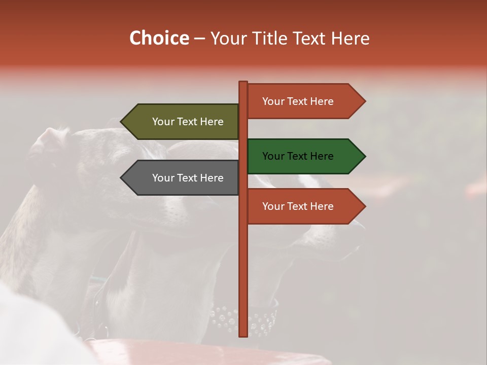 Three Whippets PowerPoint Template