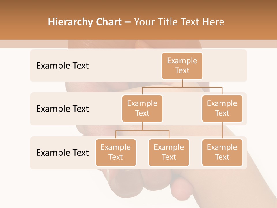 Young Child Hand Holding  Hand. PowerPoint Template