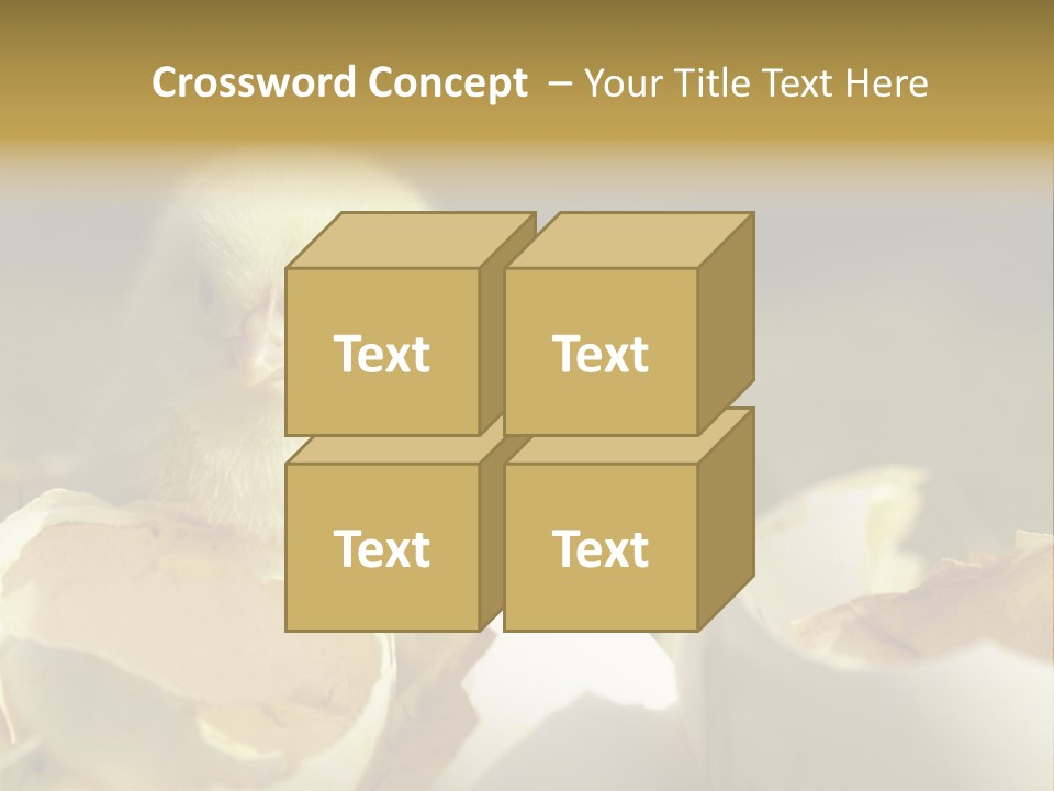 A Small Chicken Sitting Inside Of An Open Egg Shell PowerPoint Template