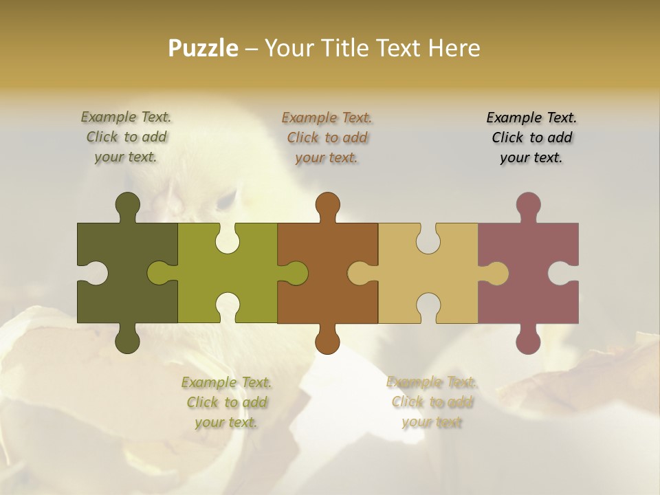 A Small Chicken Sitting Inside Of An Open Egg Shell PowerPoint Template