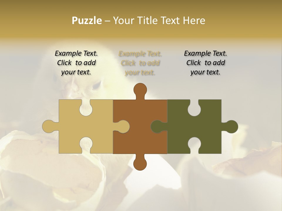 A Small Chicken Sitting Inside Of An Open Egg Shell PowerPoint Template