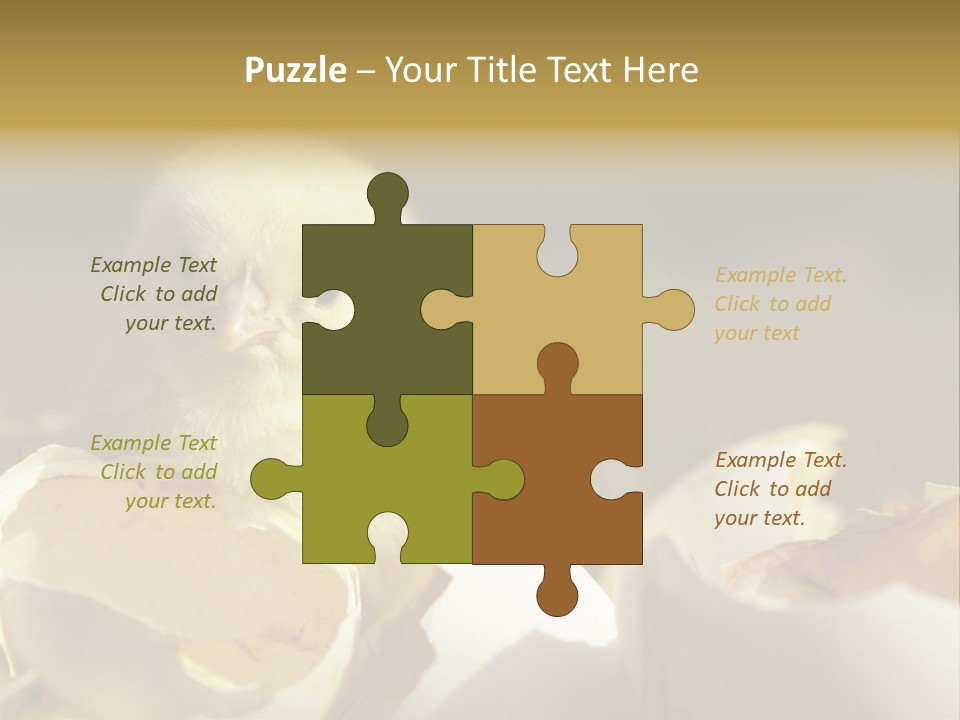 A Small Chicken Sitting Inside Of An Open Egg Shell PowerPoint Template