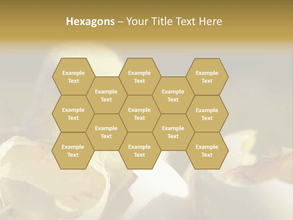 A Small Chicken Sitting Inside Of An Open Egg Shell PowerPoint Template