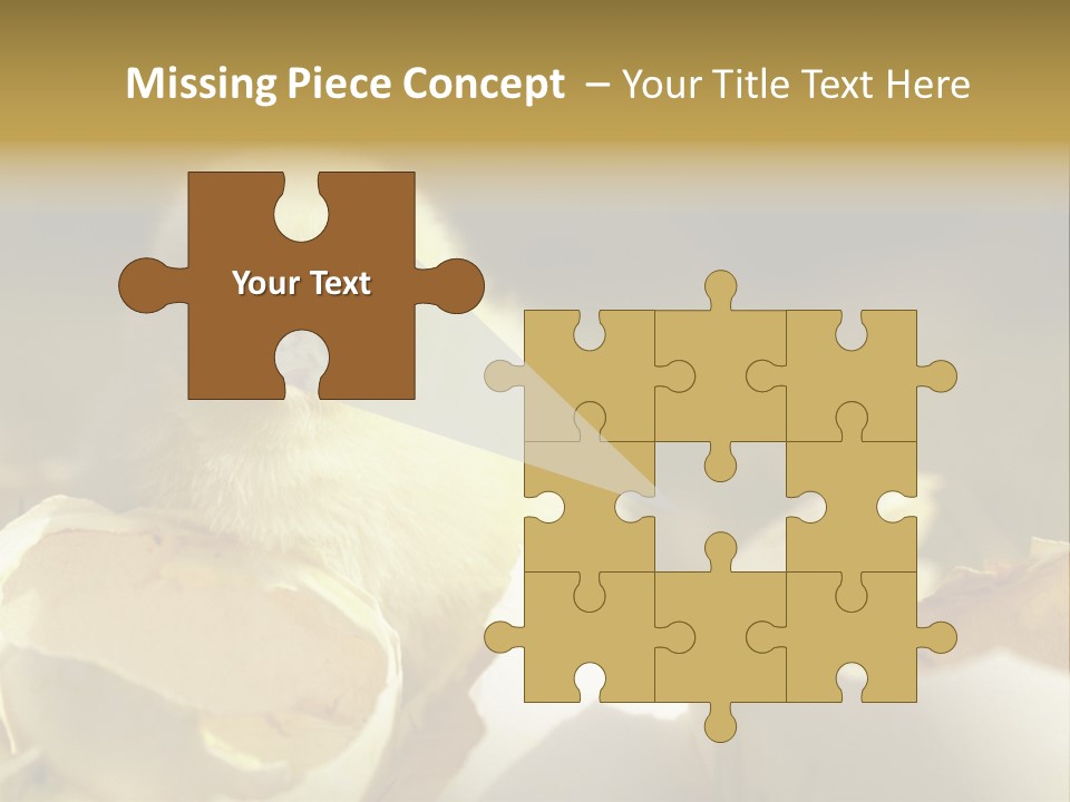 A Small Chicken Sitting Inside Of An Open Egg Shell PowerPoint Template