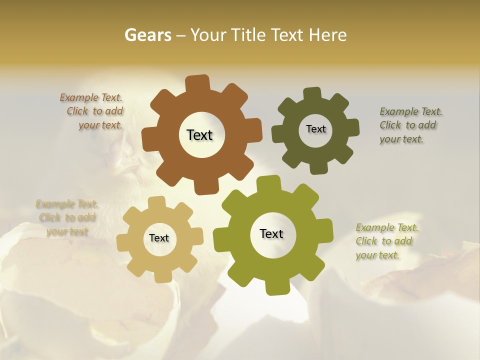 A Small Chicken Sitting Inside Of An Open Egg Shell PowerPoint Template