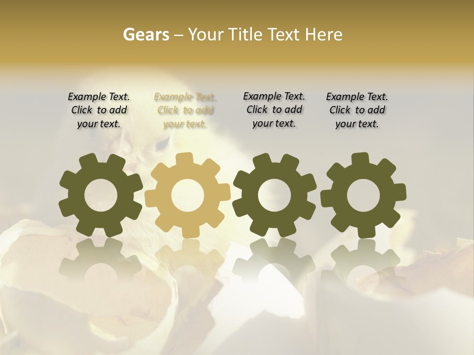 A Small Chicken Sitting Inside Of An Open Egg Shell PowerPoint Template