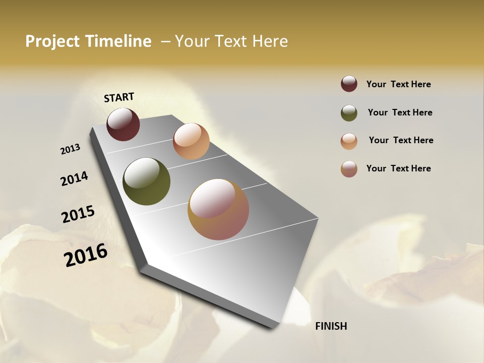A Small Chicken Sitting Inside Of An Open Egg Shell PowerPoint Template