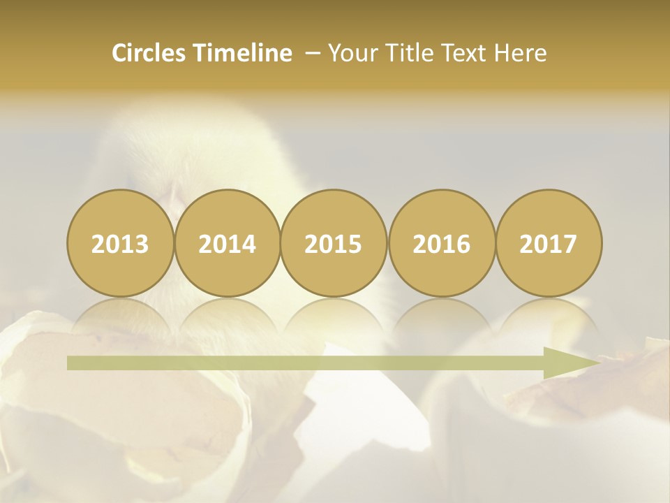 A Small Chicken Sitting Inside Of An Open Egg Shell PowerPoint Template