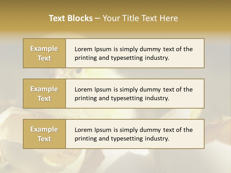 A Small Chicken Sitting Inside Of An Open Egg Shell PowerPoint Template