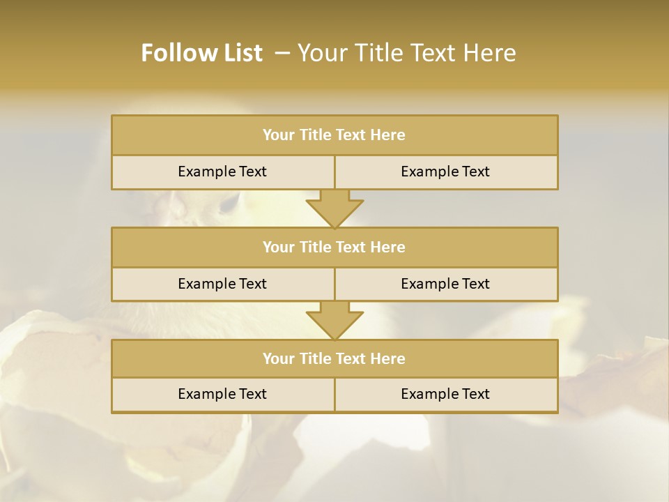 A Small Chicken Sitting Inside Of An Open Egg Shell PowerPoint Template