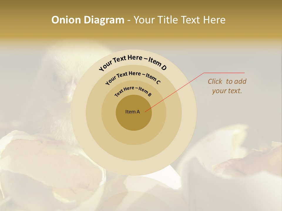 A Small Chicken Sitting Inside Of An Open Egg Shell PowerPoint Template