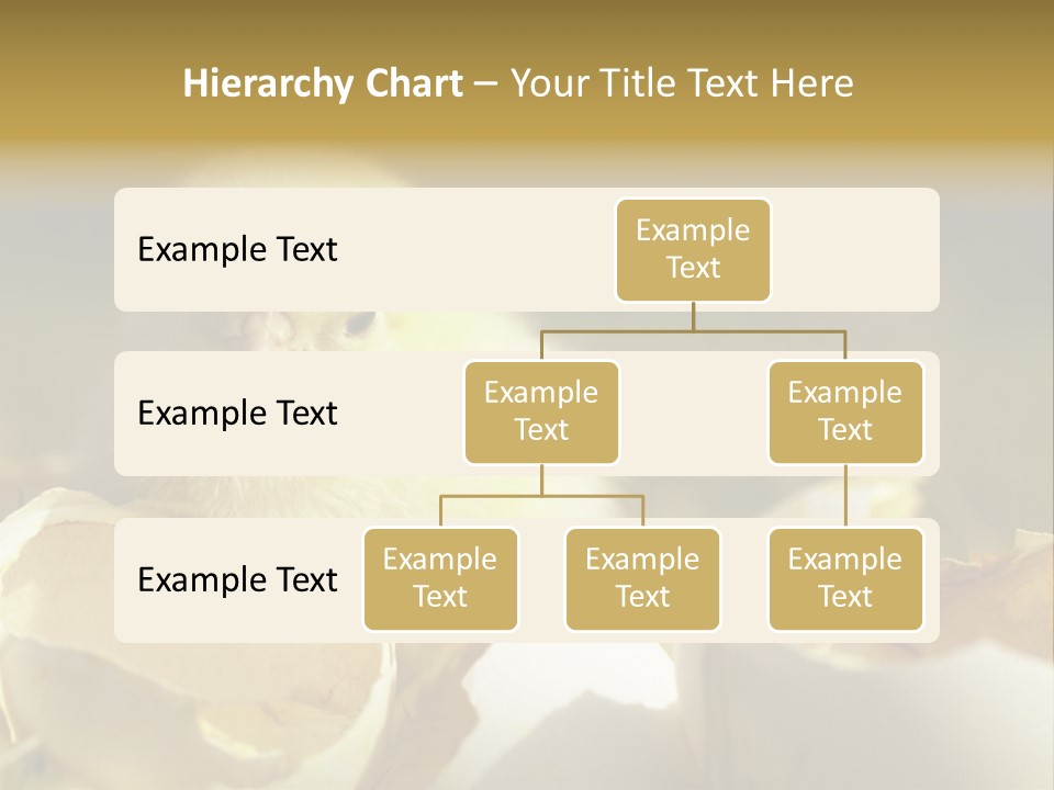 A Small Chicken Sitting Inside Of An Open Egg Shell PowerPoint Template