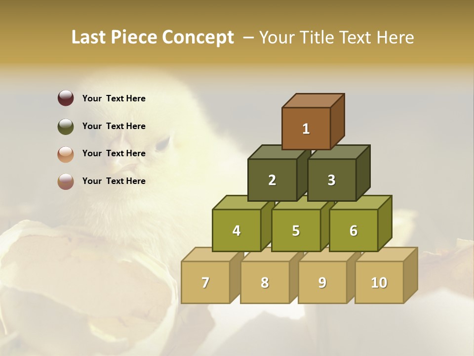 A Small Chicken Sitting Inside Of An Open Egg Shell PowerPoint Template