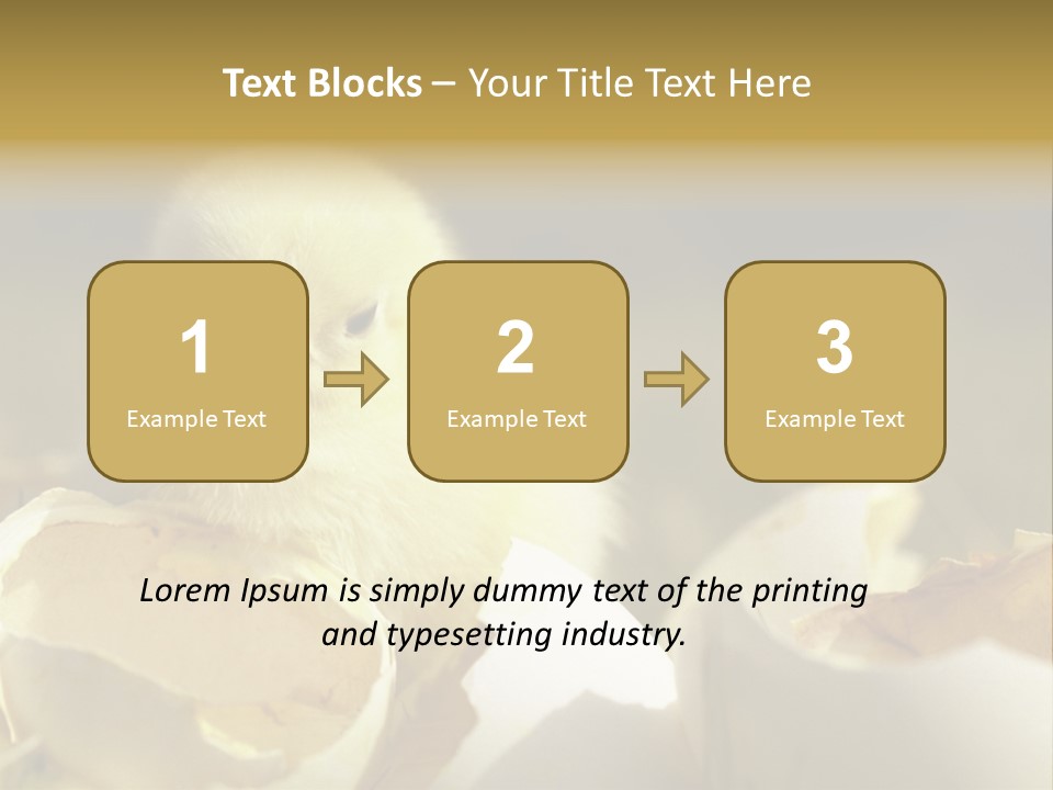 A Small Chicken Sitting Inside Of An Open Egg Shell PowerPoint Template
