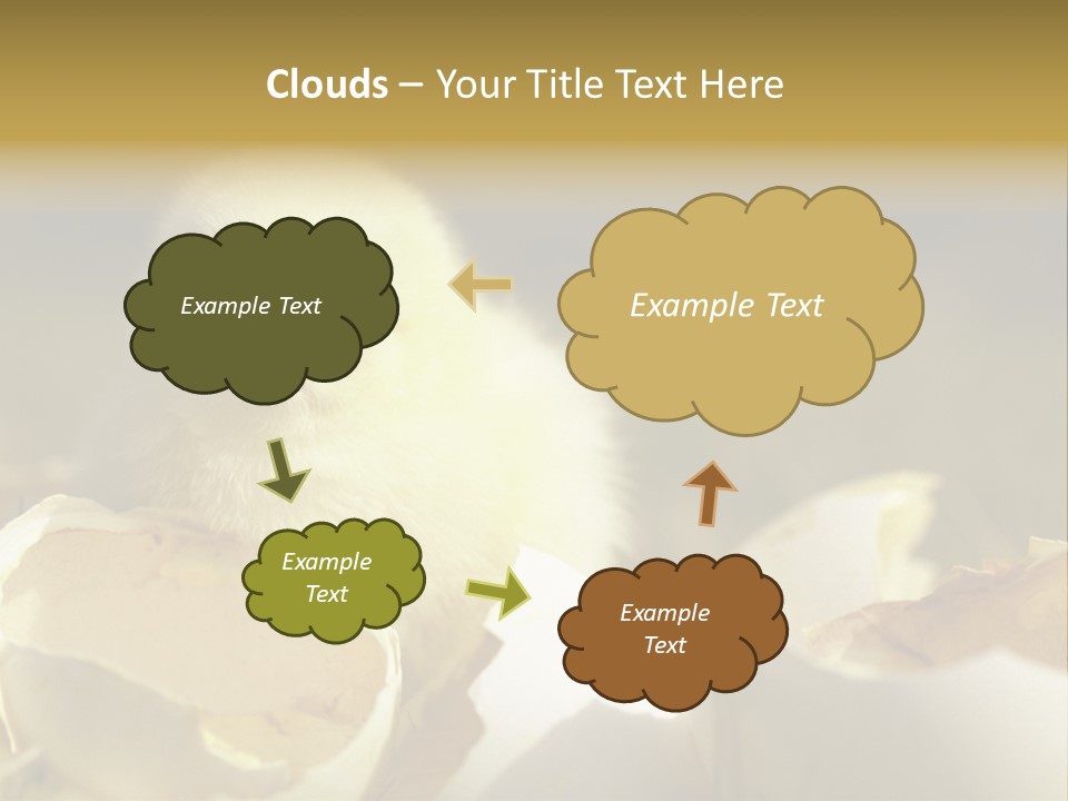 A Small Chicken Sitting Inside Of An Open Egg Shell PowerPoint Template