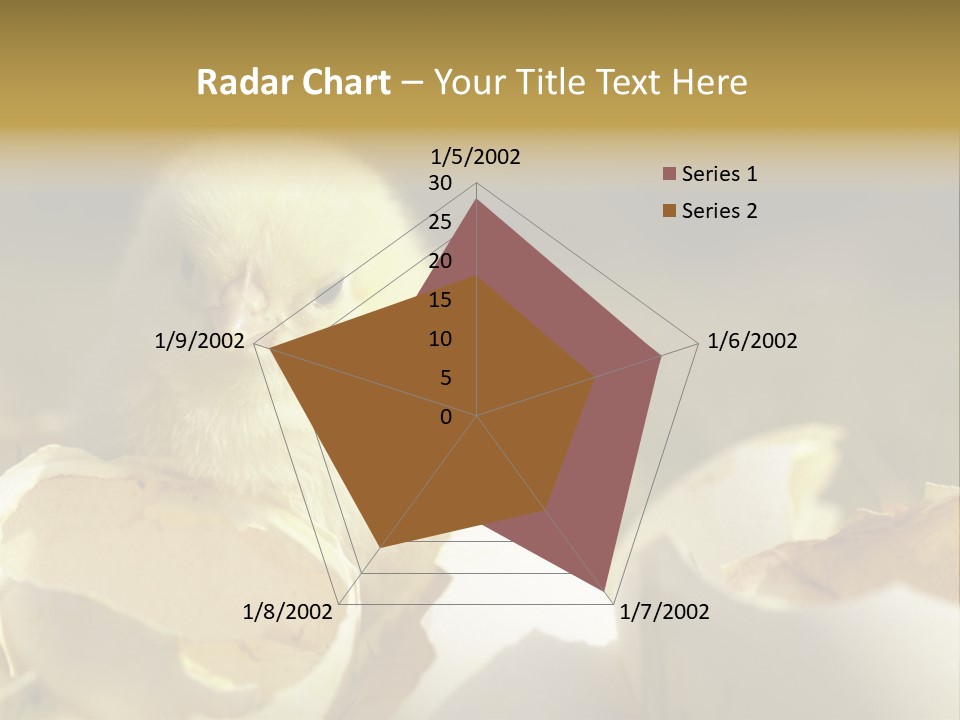 A Small Chicken Sitting Inside Of An Open Egg Shell PowerPoint Template