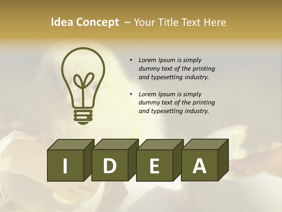 A Small Chicken Sitting Inside Of An Open Egg Shell PowerPoint Template