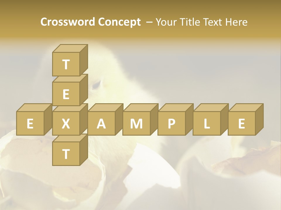 A Small Chicken Sitting Inside Of An Open Egg Shell PowerPoint Template