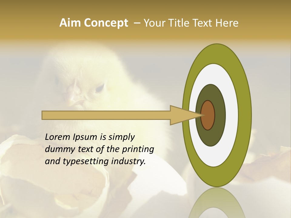 A Small Chicken Sitting Inside Of An Open Egg Shell PowerPoint Template