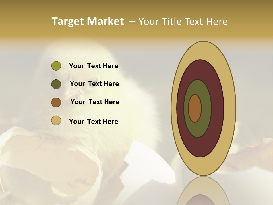 A Small Chicken Sitting Inside Of An Open Egg Shell PowerPoint Template
