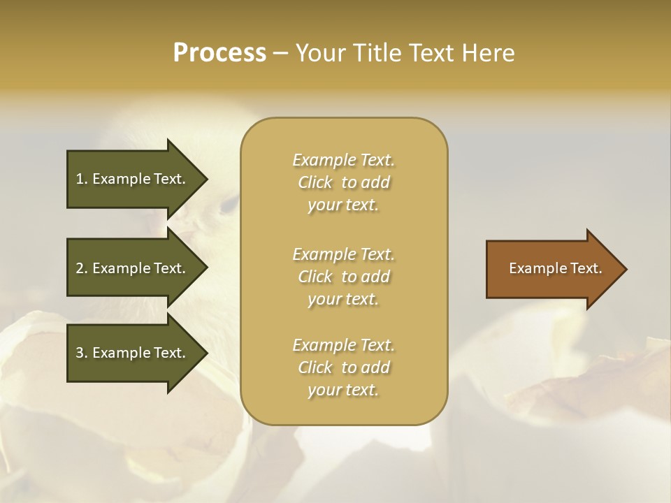 A Small Chicken Sitting Inside Of An Open Egg Shell PowerPoint Template